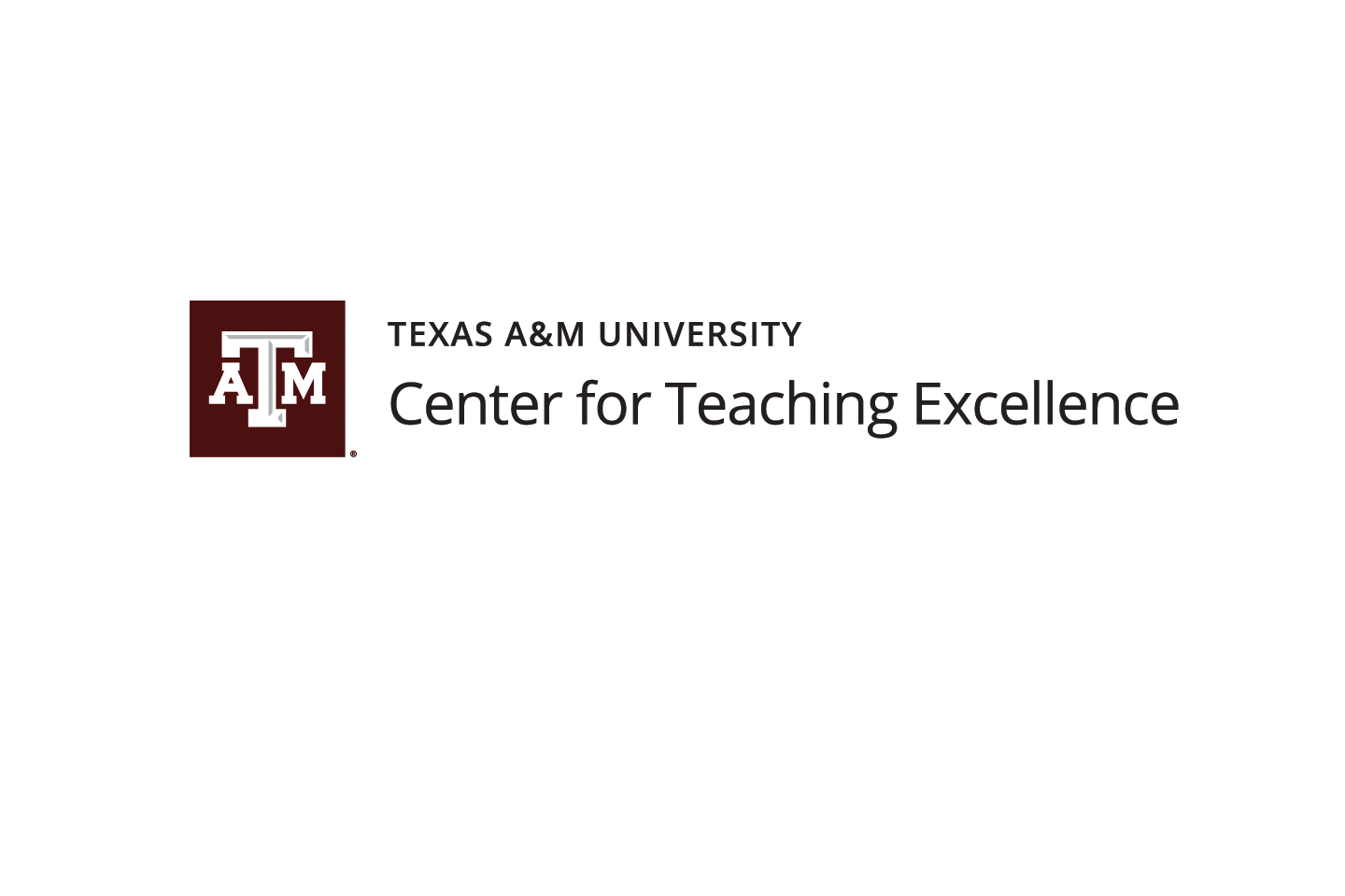 New TAMU Community-Engaged Teaching and Learning Fellowship Announced